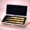 Professional Magnetic Case with 3 Lash Extension Tweezers