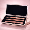 Professional Magnetic Case with 3 Lash Extension Tweezers